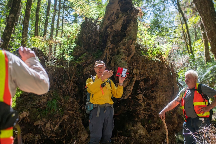 A man in hi-vis yellow stands in the shade of a large upturned tree root speaking to a few other people. He holds a mobile phone