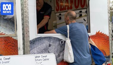 Your Good Friday fish and chips may be coming from as far away as South Africa this Easter