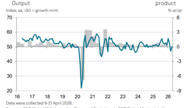 Flash PMI gives RBA reason to hike