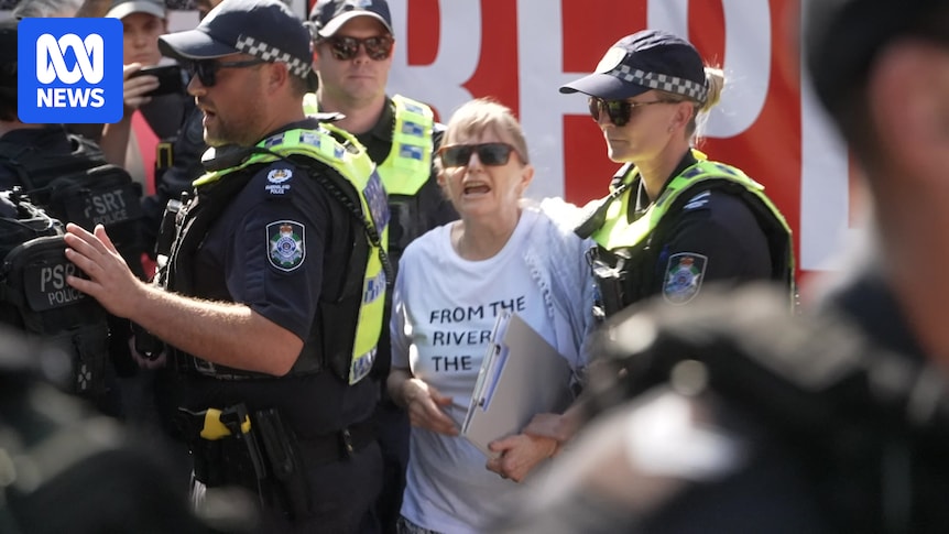 Protesters arrested at Brisbane pro-Palestine rally featuring banned phrase