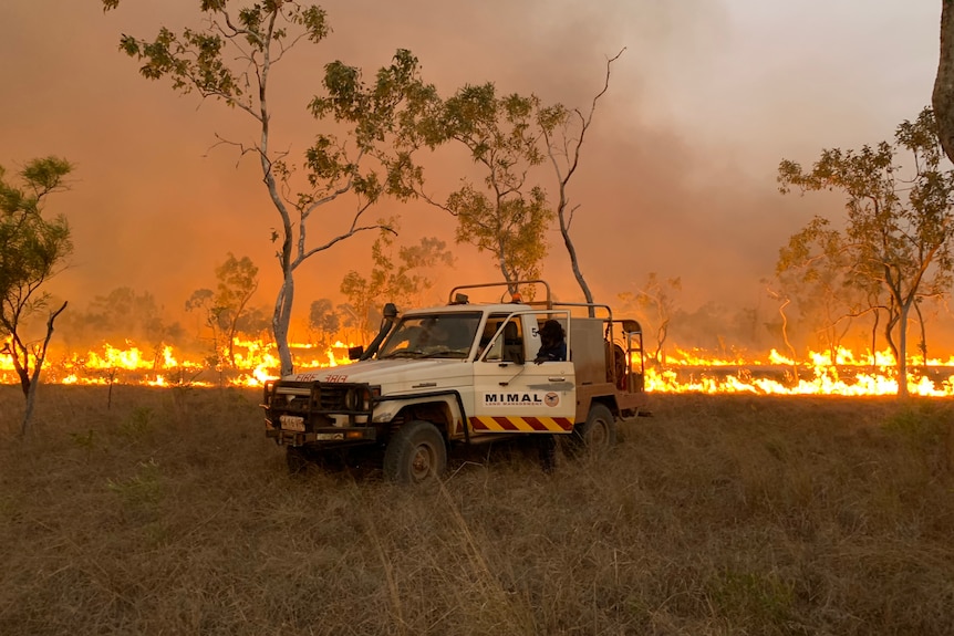 A ranger's ute is parked near grass that is being burned to mitigate bushfire risk, the side of the vehicle reads: MIMAL
