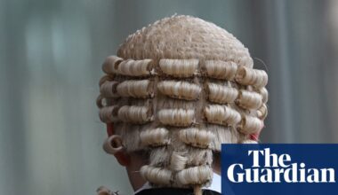 Australian federal court warns lawyers over ‘unacceptable’ use of AI | Australian law
