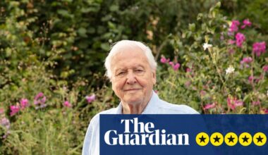 Secret Garden review – David Attenborough offers us a gorgeous fantasy for his 100th birthday | David Attenborough