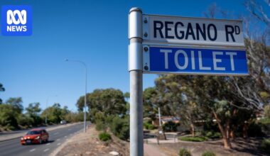 Teenager charged with toilet block assault took 'calculated steps' to lure child inside, court hears