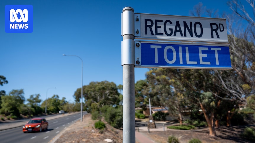 Teenager charged with toilet block assault took 'calculated steps' to lure child inside, court hears