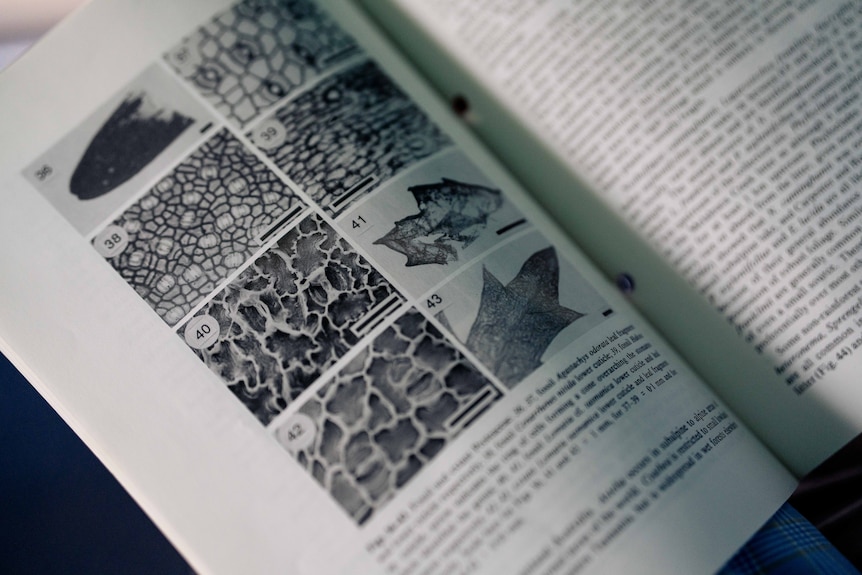 A man reads documents in his office