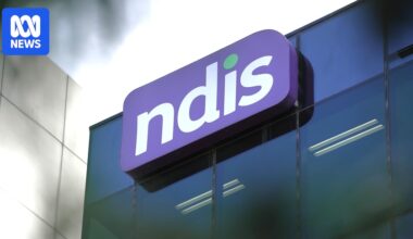 Government advisory group recommends delaying NDIS 'robo-planning' changes