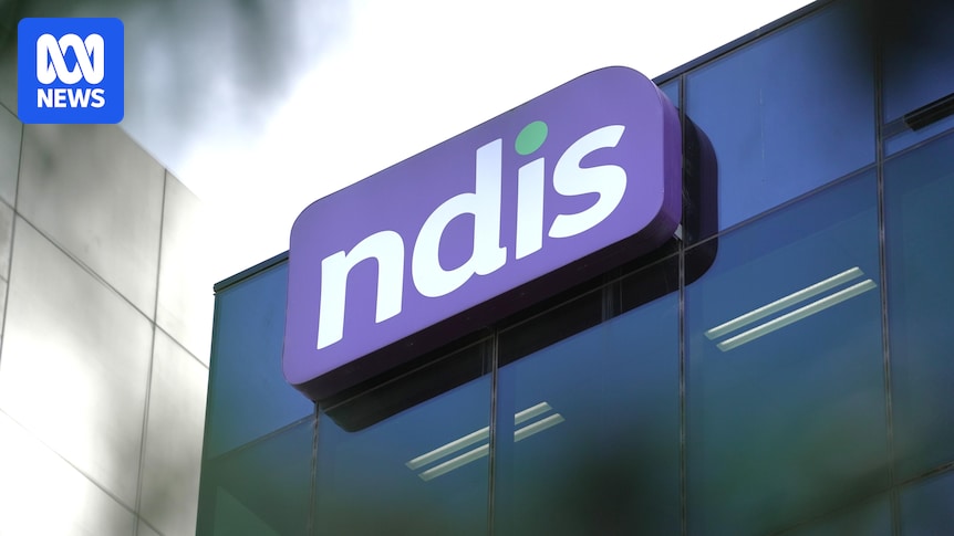Government advisory group recommends delaying NDIS 'robo-planning' changes
