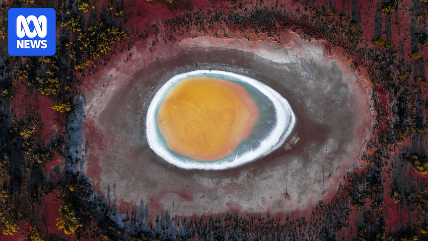 Aerial photographer's hunt for salt lake 'Easter eggs' yields striking images in WA