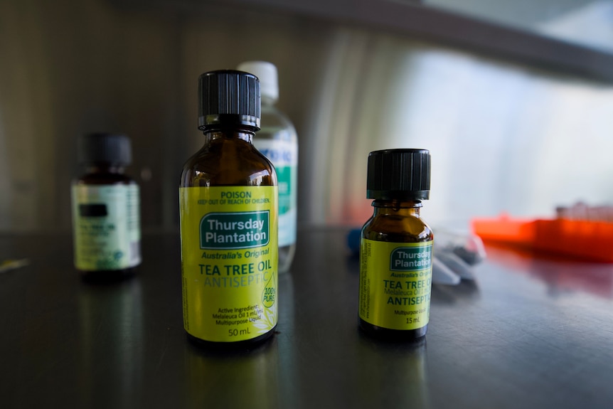 small bottles of tea tree oils from company Thursday Plantation.