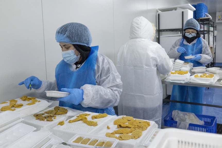 People in protective gear process sea urchin roe