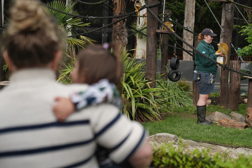 A woman holding a small child faces away from the camera, a zoo worker stands in the distance