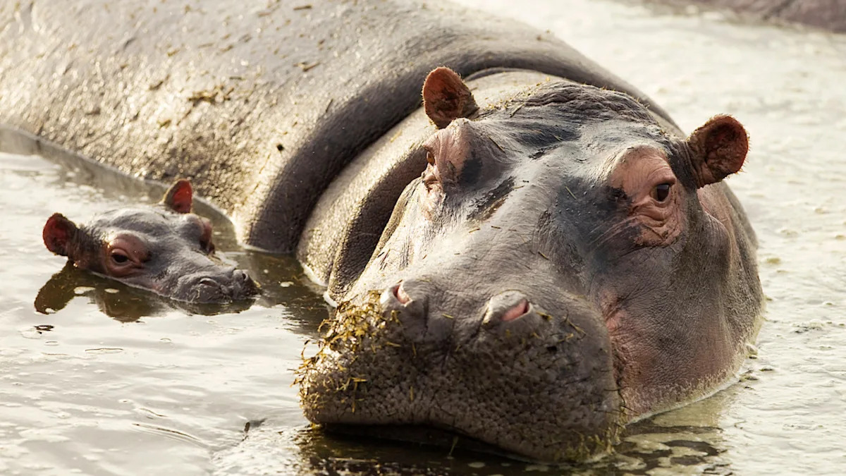 Yahoo lifestyle home