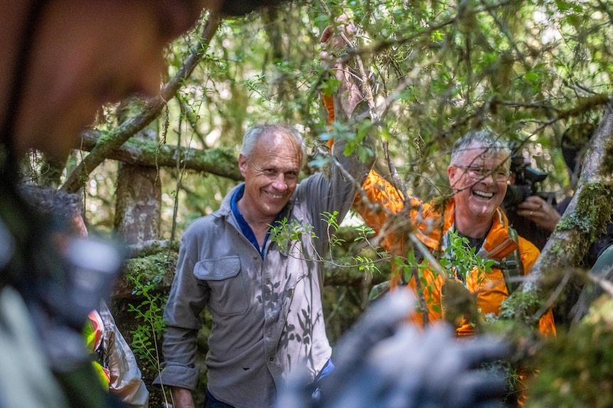 A group of people stand among trees. One has his hand held in the air by another as he smiles