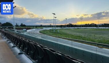 Greyhound trainers frustrated over 'lack of accountability' as safety issues continue at Ipswich facility