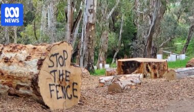 Conflict experts called in following a dispute over a dog fence in Coburg