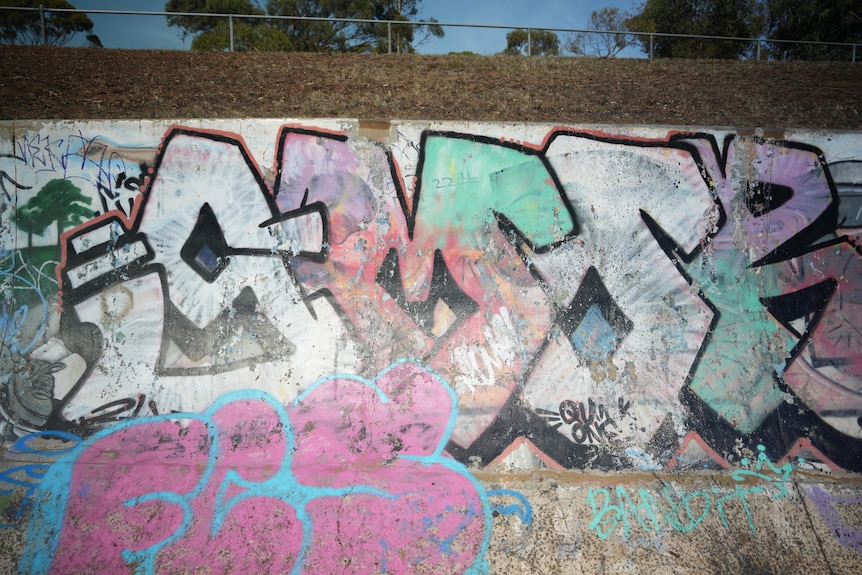 A close up of graffiti on the bowls at the Corio Skate Bowls.