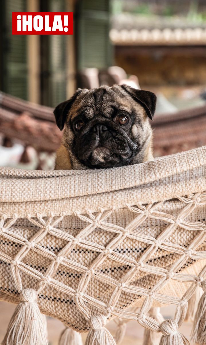 EXCLUSIVE: Garbiñe Muguruza welcomes a new chapter with Arthur Borges and baby Marcos