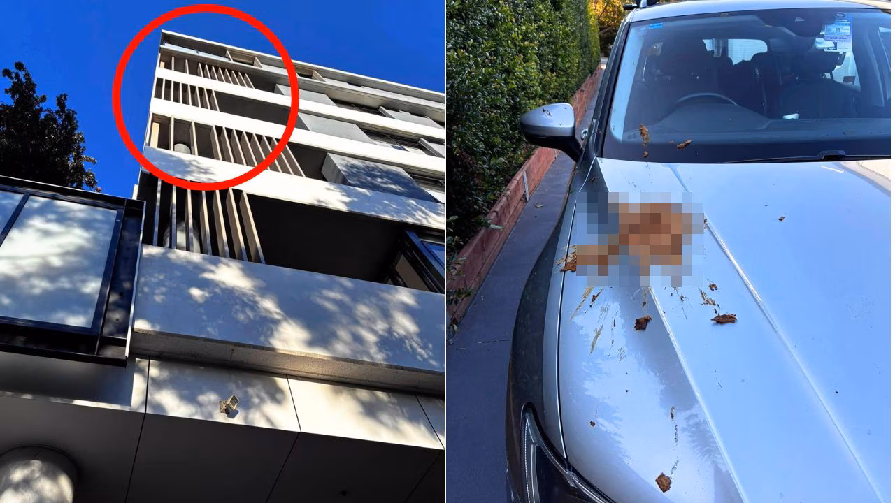 ‘Serial pooper’ terrorises Kirrawee locals with faeces attacks