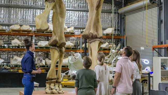 Eromanga is known for dinosaur discoveries rather than oil production.