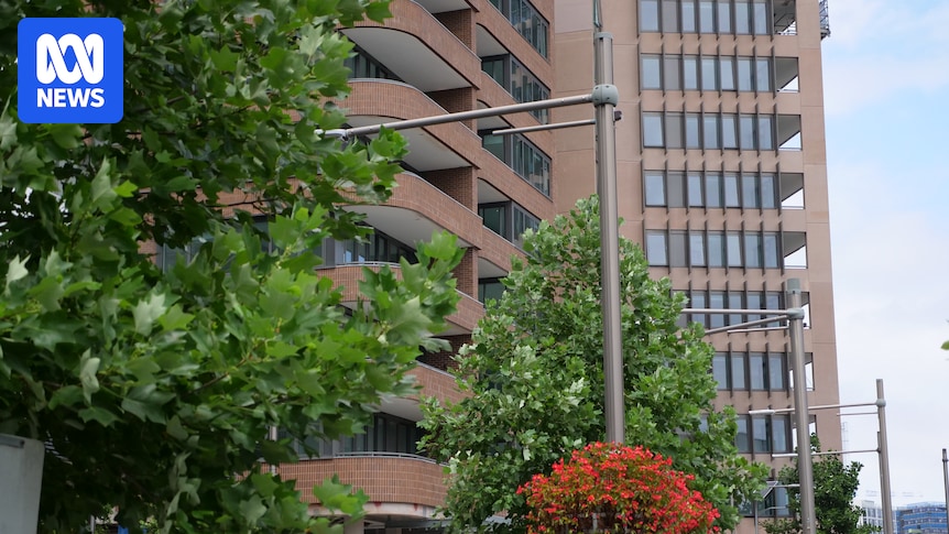 City of Sydney to investigate ban on short-term rentals