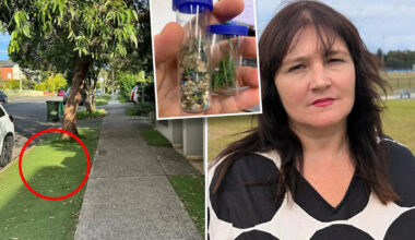 Aussie council's plan to jump on popular turf trend sparks concern: 'There's a cost'