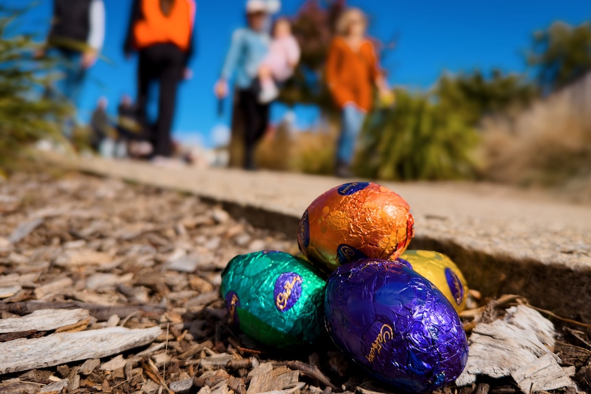 Images from Easter egg hunt.