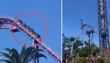 Movie World passengers become stuck as ride halts suddenly on the Gold Coast