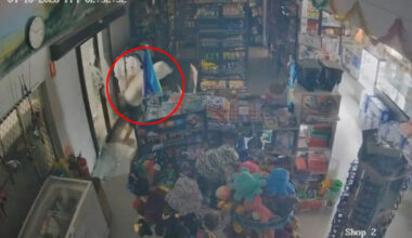 Aussie beachside town living in fear since crime wave began 18 days ago: 'Traumatic'