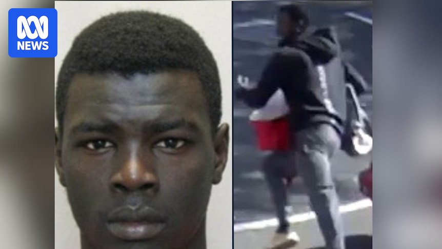 Convicted gang rapist escapes custody while at Bankstown Hospital