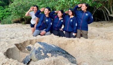 Turtle power drives Vietnam’s coastal conservation efforts