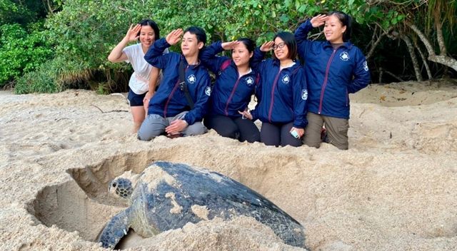 Turtle power drives Vietnam’s coastal conservation efforts