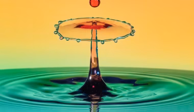 Subscribe to The Australian | Newspaper home delivery, website, iPad, iPhone & Android apps