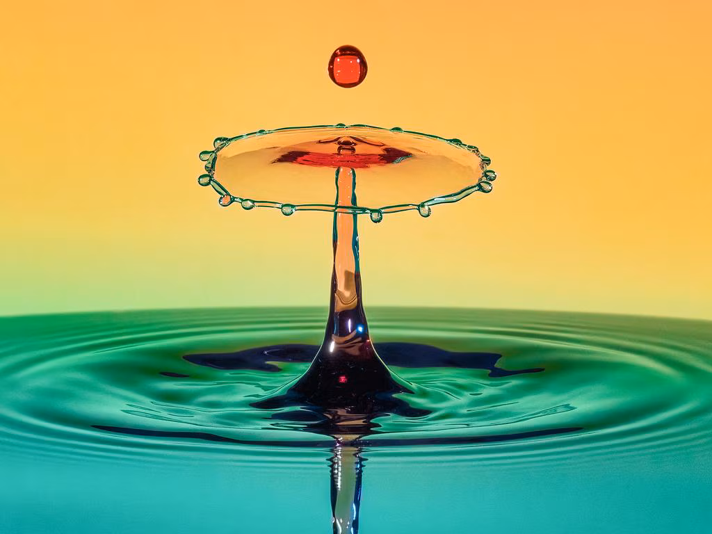 Subscribe to The Australian | Newspaper home delivery, website, iPad, iPhone & Android apps