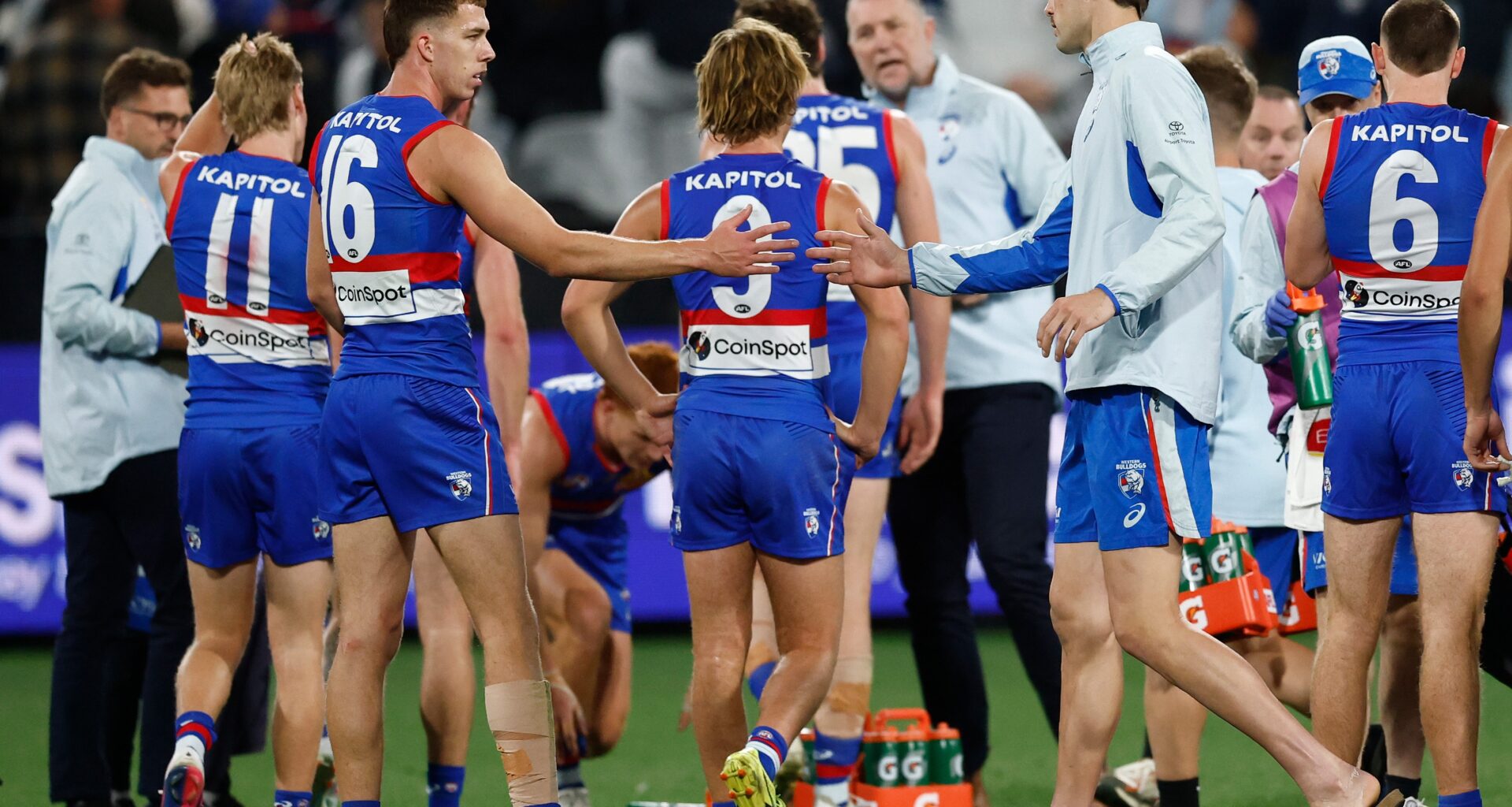 Sam Darcy, Liberatore, O'Donnell, Lobb