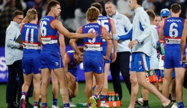 Sam Darcy, Liberatore, O'Donnell, Lobb