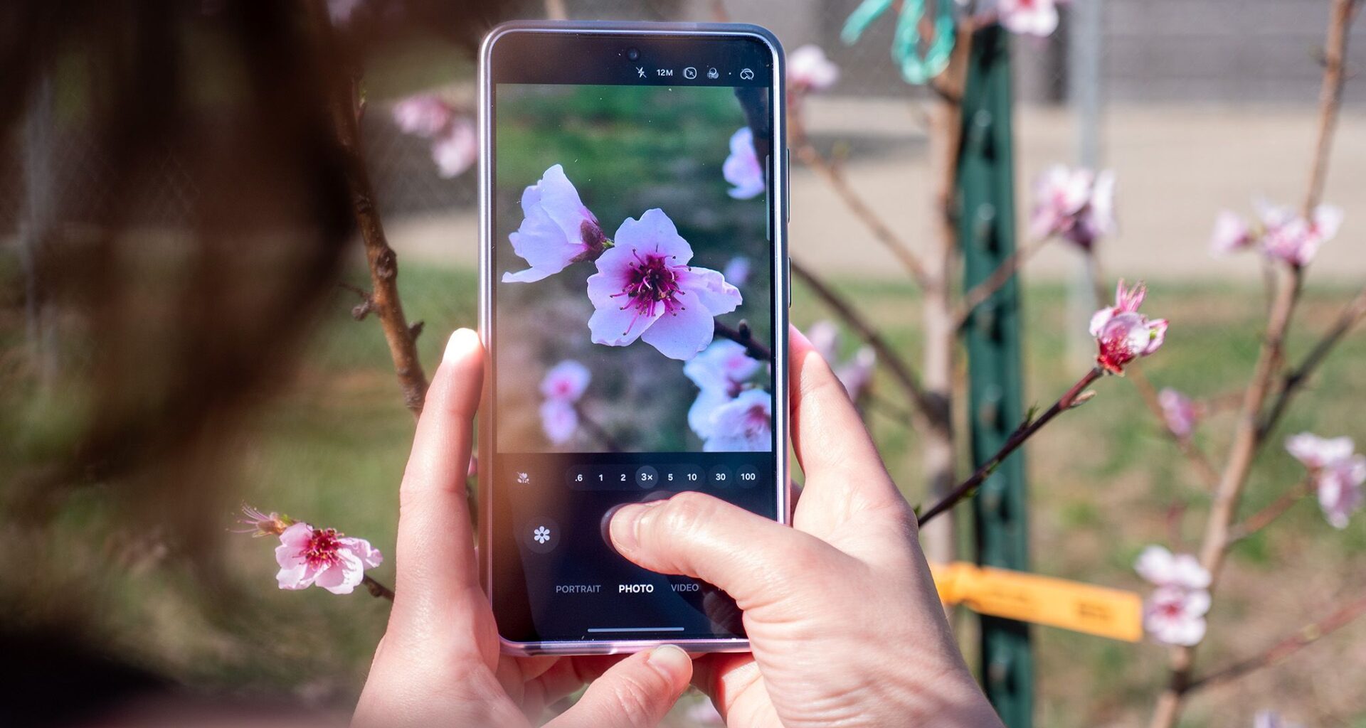 Fear not: Samsung is investigating the Galaxy S26 Ultra's 'blurry' camera