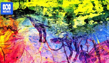 Arnhem Land rock art raises questions about Tasmanian tigers living on mainland