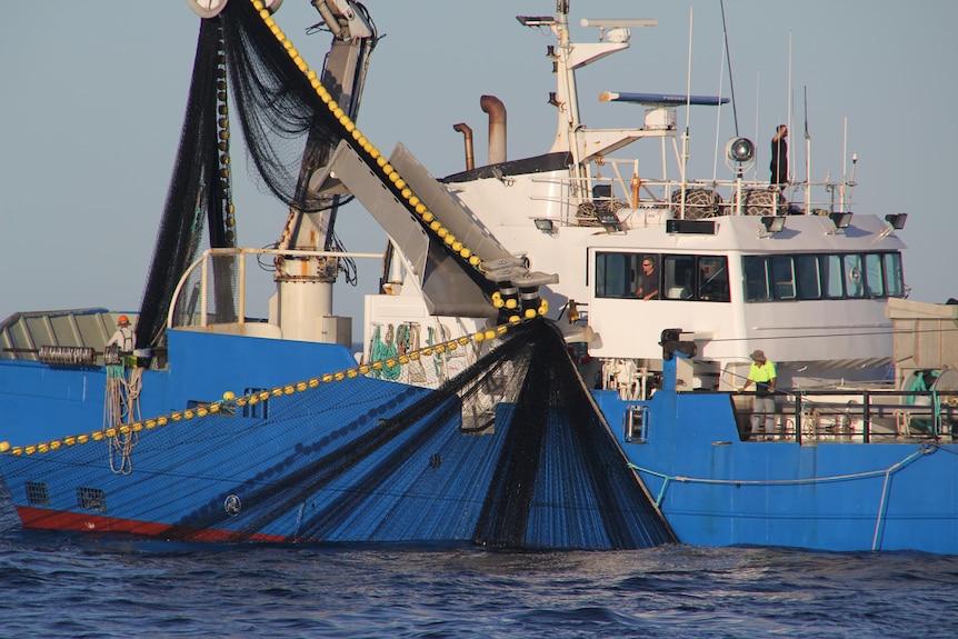 a tuna boat hauls in some tuna