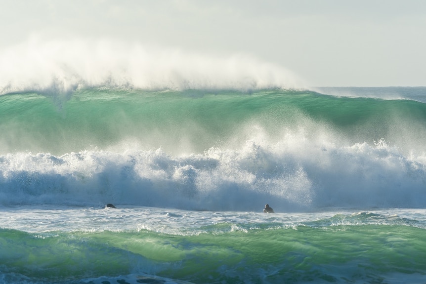 two surfers paddling out into huge wave
