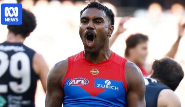 Demons star Kysaiah Pickett praised after brilliant start to AFL season