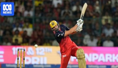 Tim David stars in Royal Challengers Bengaluru's win over Chennai Super Kings