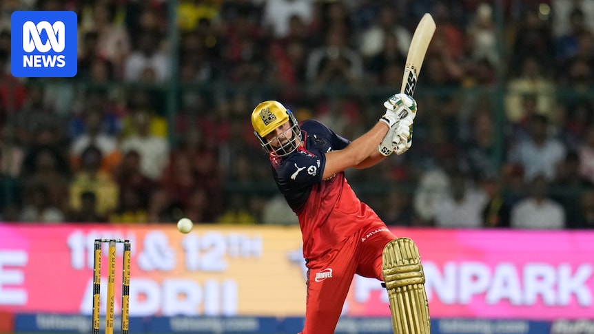 Tim David stars in Royal Challengers Bengaluru's win over Chennai Super Kings