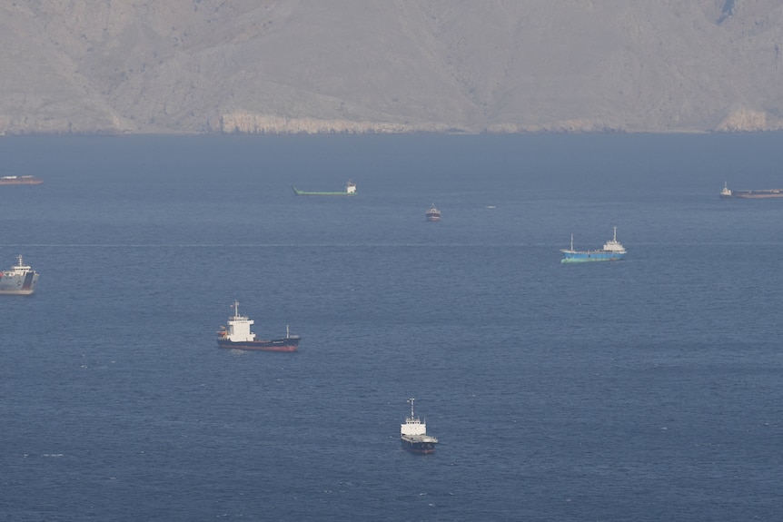 Dozens of ships sit still in the Strait of Hormuz, with a steep slope in the background. 