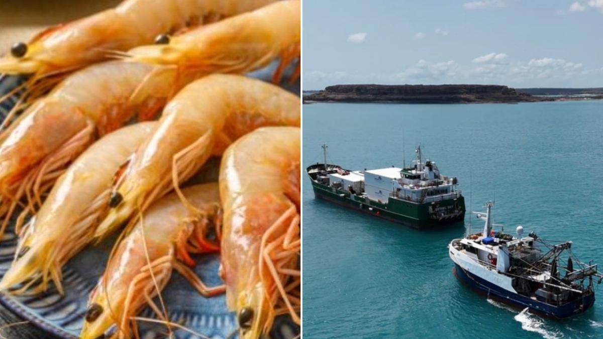 Hundreds of jobs at risk as Queensland seafood company Raptis collapses hours before Easter rush