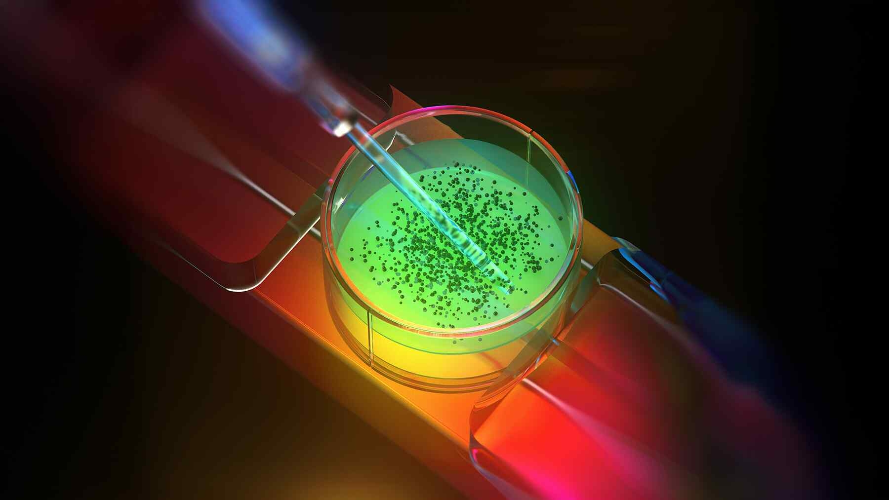 Strange state of matter revealed