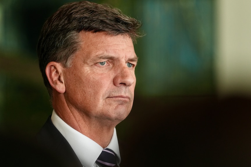 Angus Taylor at a press conference in Parliament House.