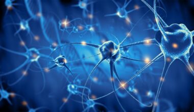 Living Brain Cells Enable Machine Learning Computations