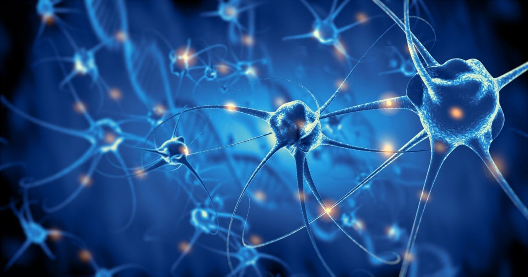 Living Brain Cells Enable Machine Learning Computations