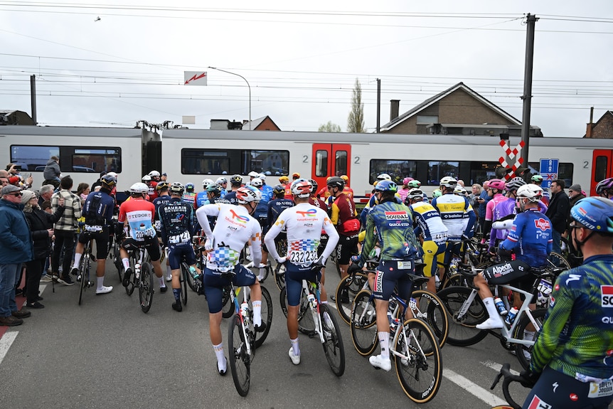 Cyclists in the Tour of Flanders wait for a train to pass.